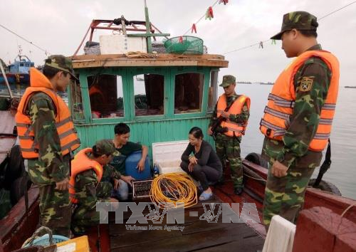 Bắt hai tàu cá khai thác thủy sản trái phép ảnh 1